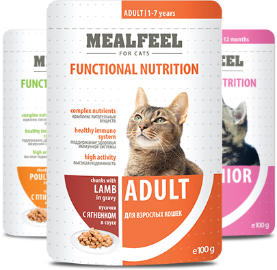 Влажный корм